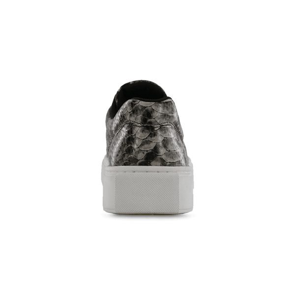 SAS Shoes Free Rein Mamba: Comfort Women's Shoes